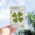 【毛根植感手作卡】把祝福一根根舖滿_2