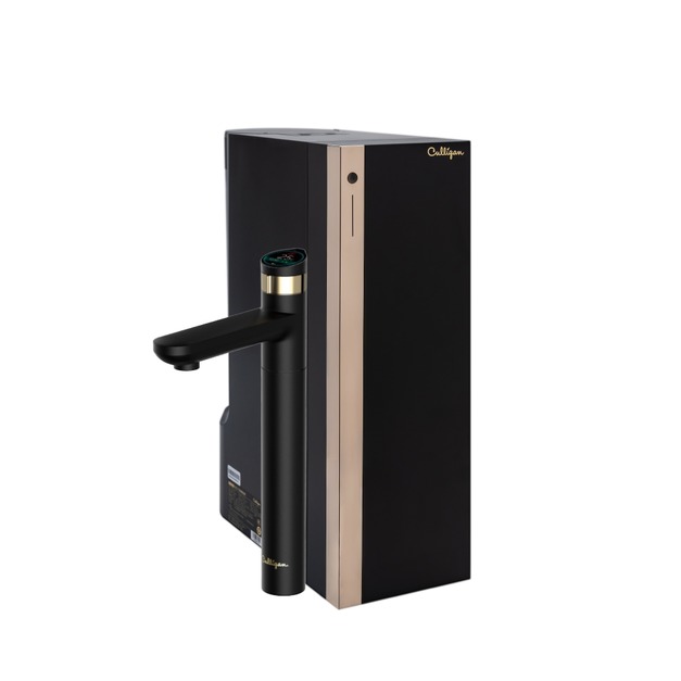 康麗根-RO瞬熱極美旗艦機 US-202C-TW/免運含安裝