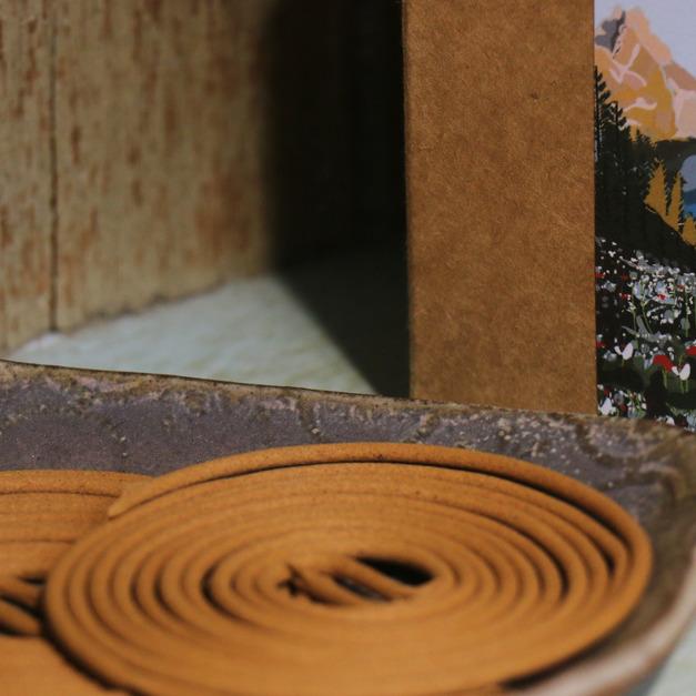 香氛圓香星木蘭