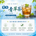 『可冷泡』夏日青草茶(10入)｜超涼夏🌞 冰涼喝消暑_3