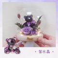 星座熊LED玻璃罩/紫水晶_1
