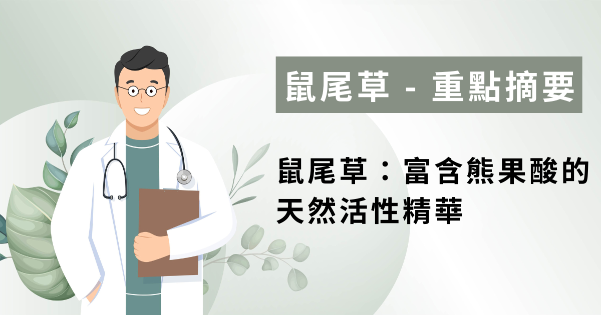 鼠尾草：富含熊果酸的天然活性精華