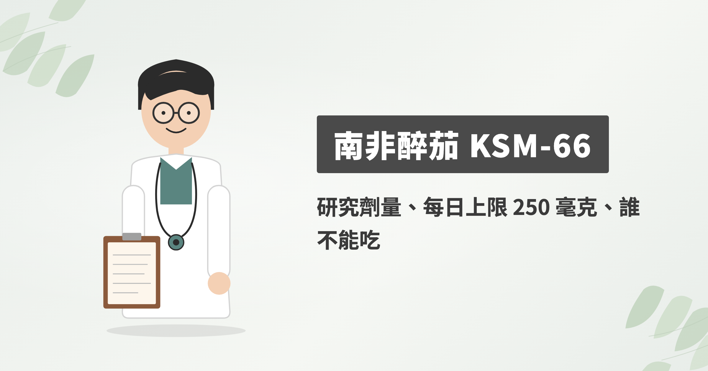 南非醉茄 KSM-66 是什麼？研究劑量、台灣每日上限 250 毫克、誰不能吃