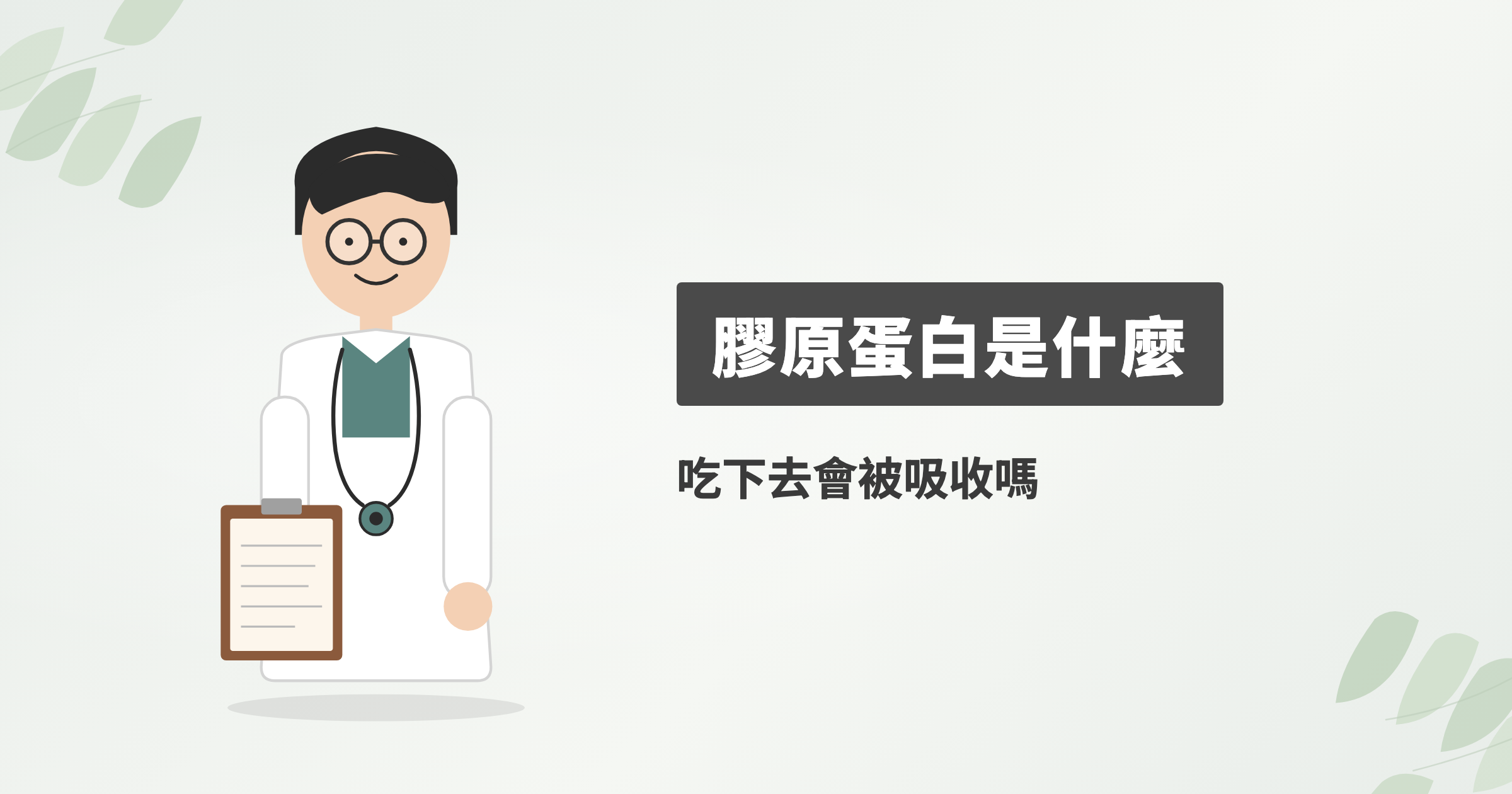 膠原蛋白是什麼？吃下去會被吸收嗎，研究結果和食物來源怎麼看