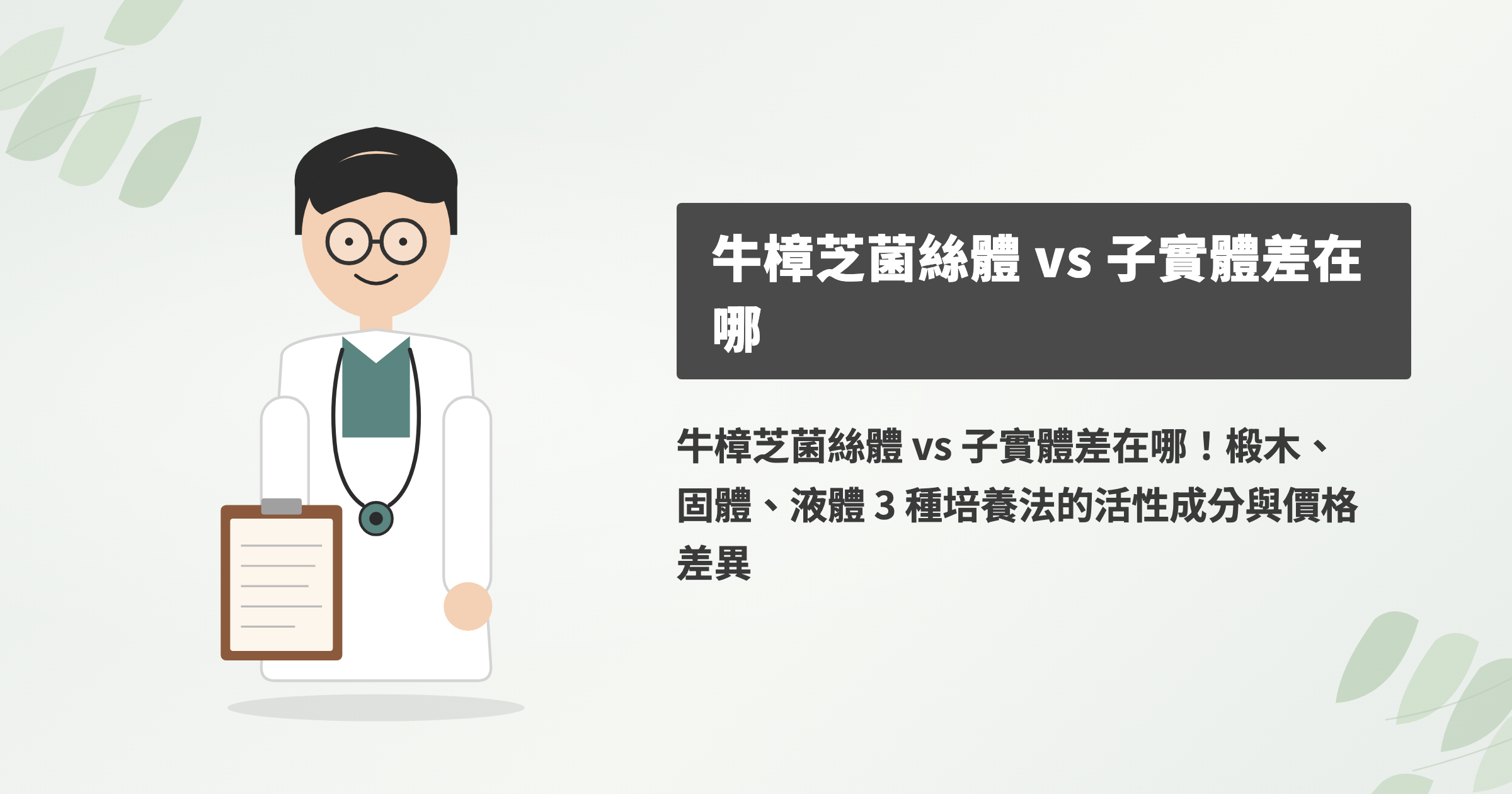 牛樟芝菌絲體 vs 子實體差在哪？買錯培養法，活性差到九成