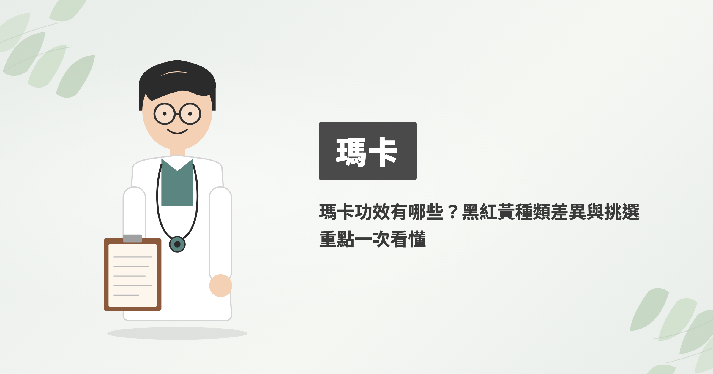 瑪卡功效有哪些？黑紅黃種類差異與挑選重點一次看懂