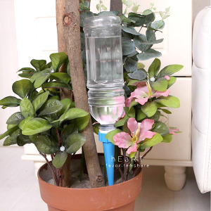 尖頭花卉盆栽自動滲水器澆花器 不挑色4入組