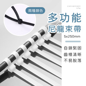 多功能尼龍束帶100入組 5x250mm