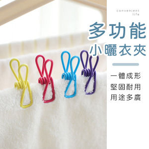 多功能固定小曬衣夾 10入組不挑色