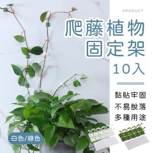 爬藤植物固定架10入