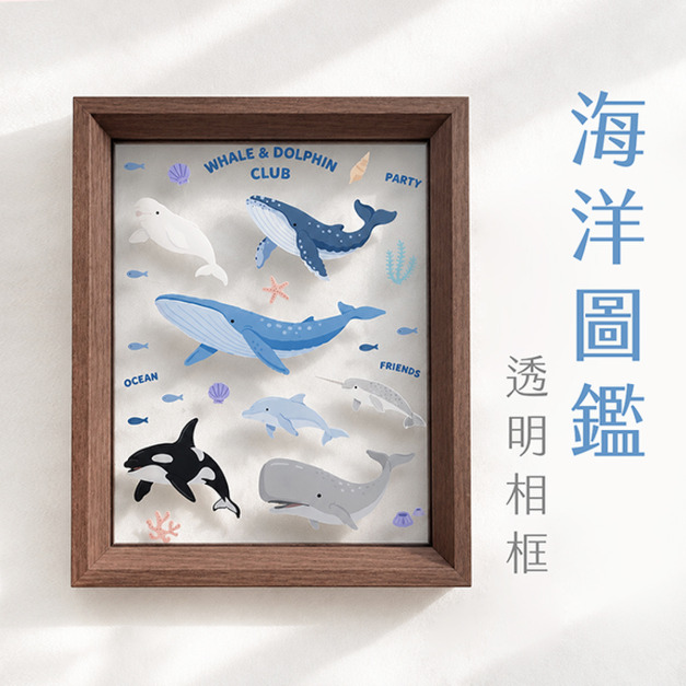 木質透明相框 海洋俱樂部圖鑑