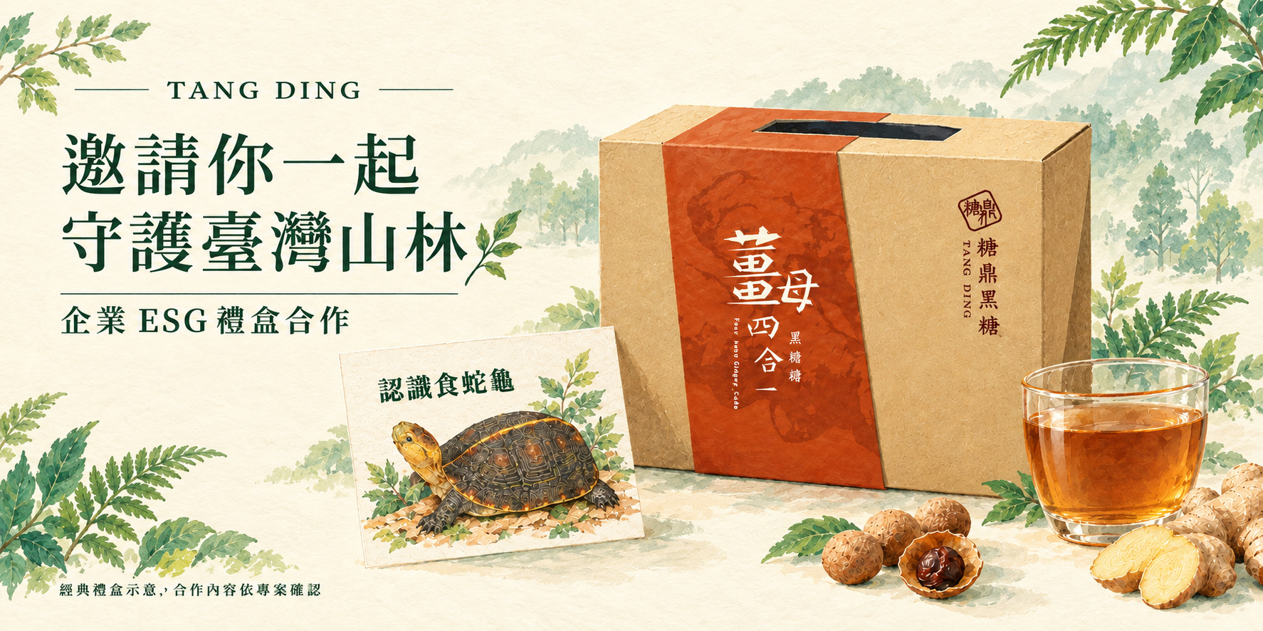 糖鼎 TANG DING 經典禮盒搭配食蛇龜保育故事卡與黑糖飲，以手繪山林風格呈現企業 ESG 禮盒合作示意。
