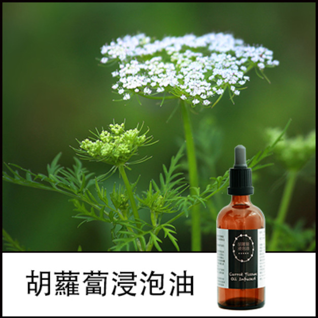 胡蘿蔔浸泡油
