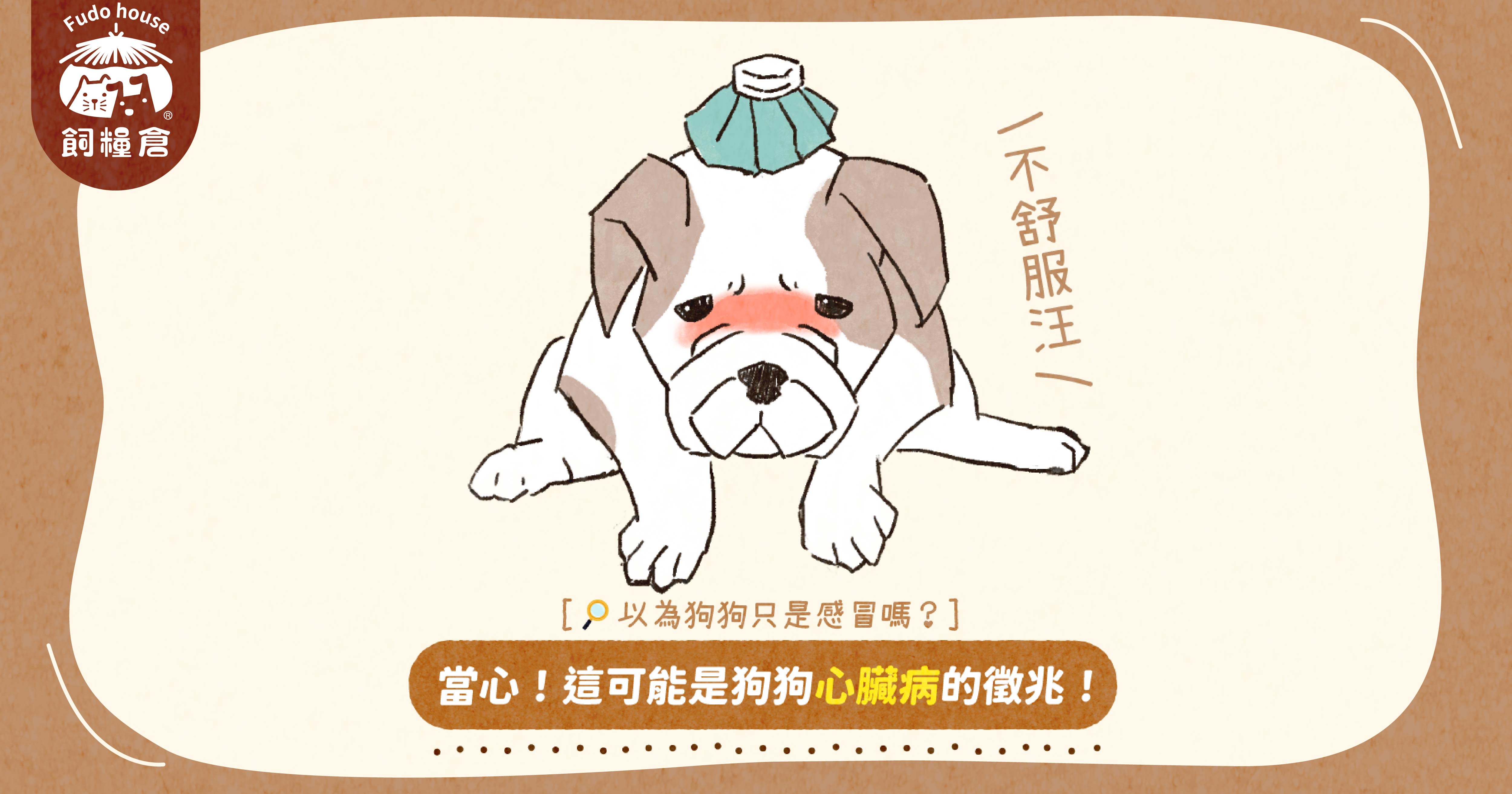【鮮肉好飽包】狗狗心臟病的5個徵兆！