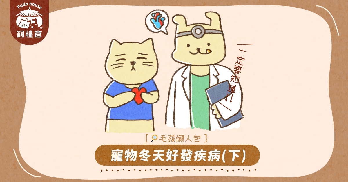 你一定要知道的寵物冬天好發疾病（下篇）