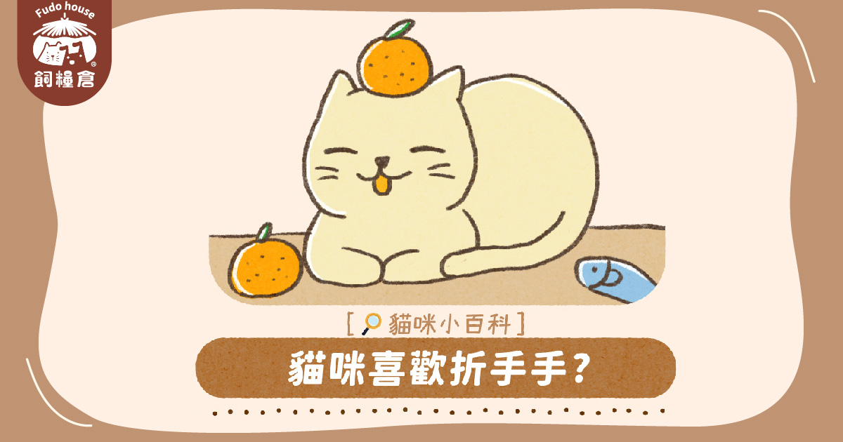 起來探討為什麼貓咪喜歡折手手吧~