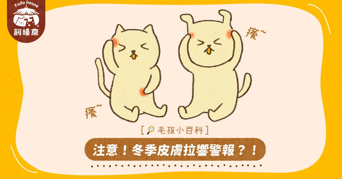 ⚠️注意!冬季皮膚拉響警報!?