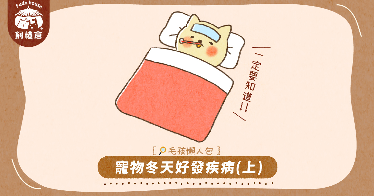  寵物冬天好發疾病，一定要知道!!（上篇）