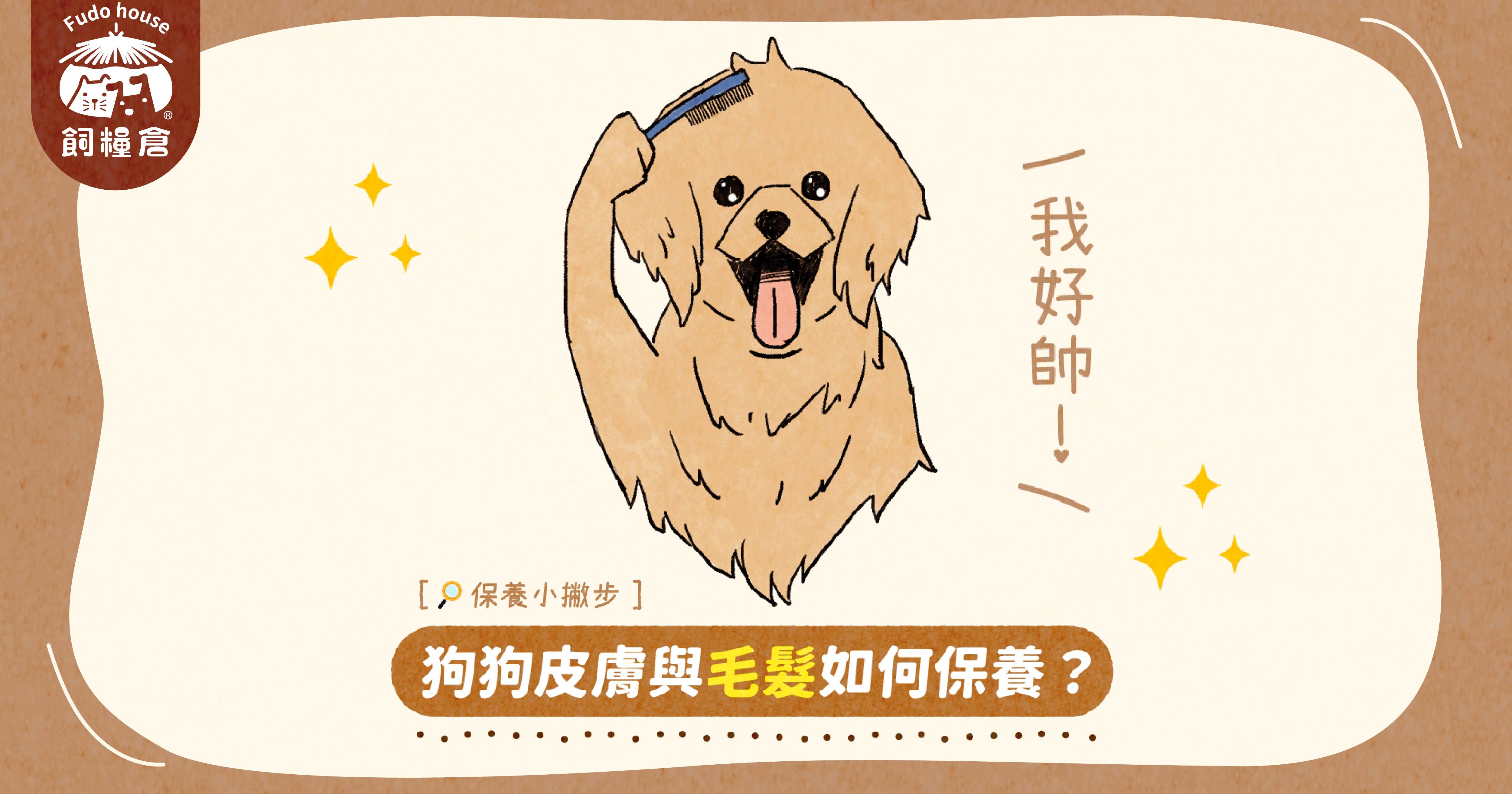 【鮮肉好飽包】狗狗皮膚、毛髮如何保養?