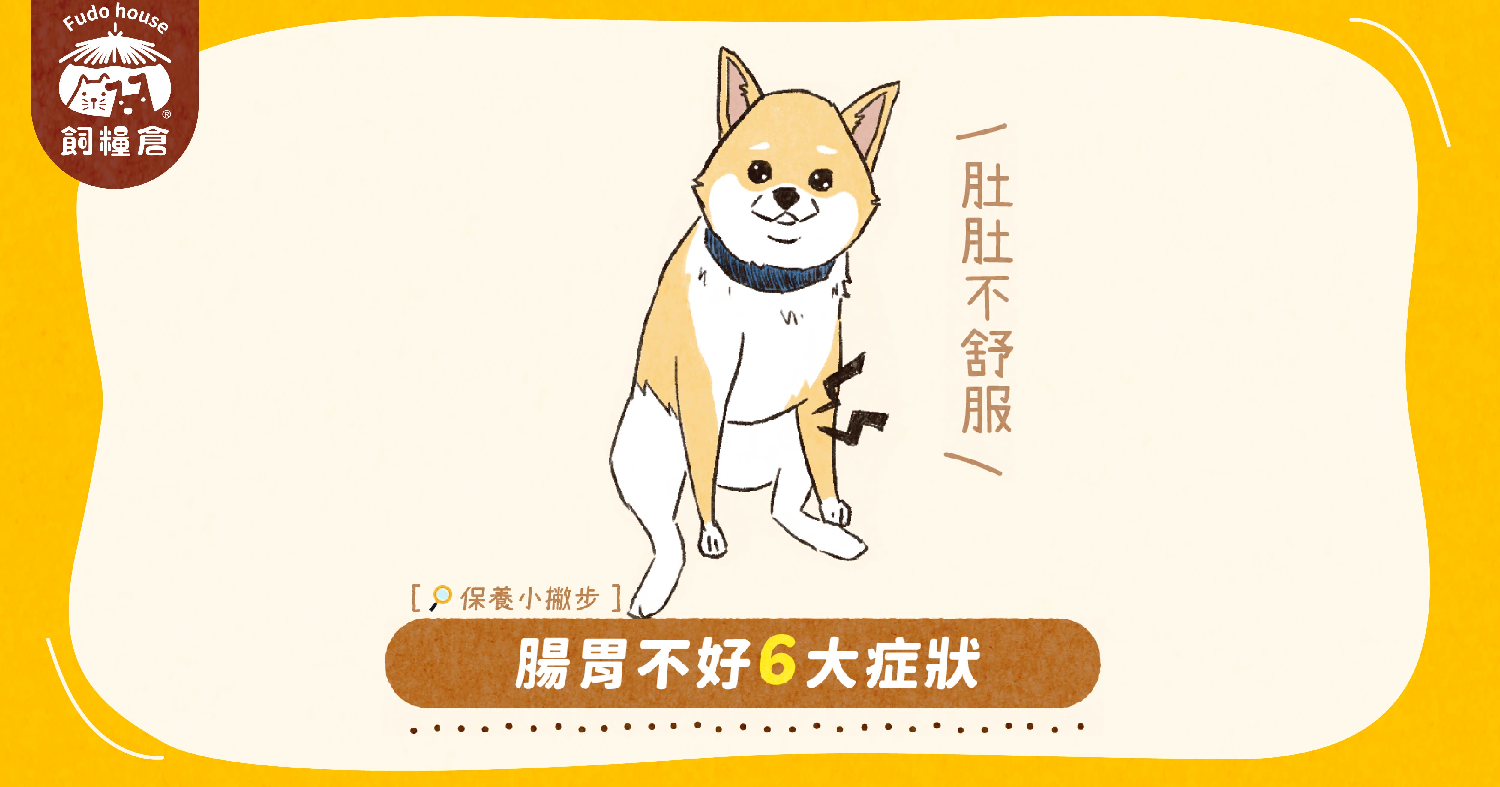 【鮮肉好飽包】其實你的毛孩腸胃不好!?