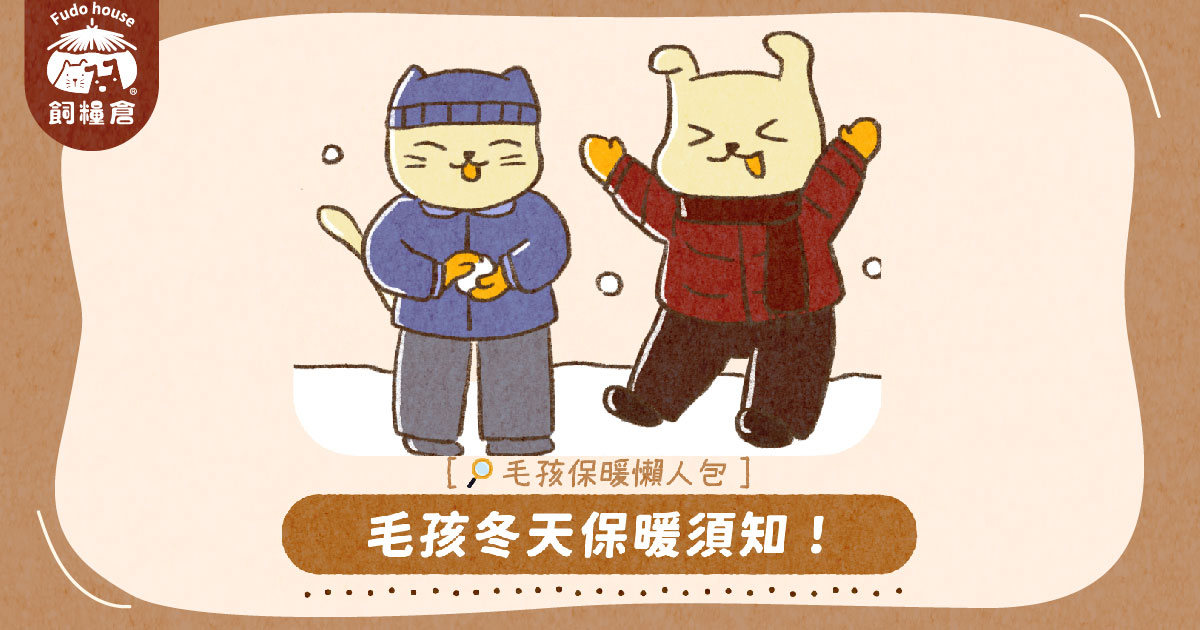 毛孩保暖懶人包~冬天保暖須知 ❗ 