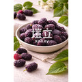 冷凍桑葚 IQF Mulberry 1kg