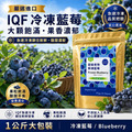 美國／加拿大 IQF 冷凍藍莓 Blueberry 1kg