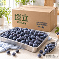 美國 IQF 冷凍栽種藍莓｜原廠箱 13.61kg