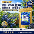 加拿大 IQF 冷凍栽種藍莓｜1kg 夾鏈袋裝