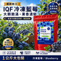 中國 IQF 冷凍栽種藍莓｜1kg 夾鏈袋裝
