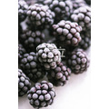 冷凍黑莓(智利) IQF Blackberry
