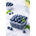 IQF冷凍藍莓_1