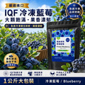 IQF冷凍藍莓1kg｜優格、果昔、烘焙都好搭