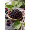 IQF冷凍桑葚_2