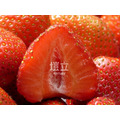 冷凍草莓 IQF Strawberry_4