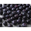 IQF冷凍野生藍莓_2