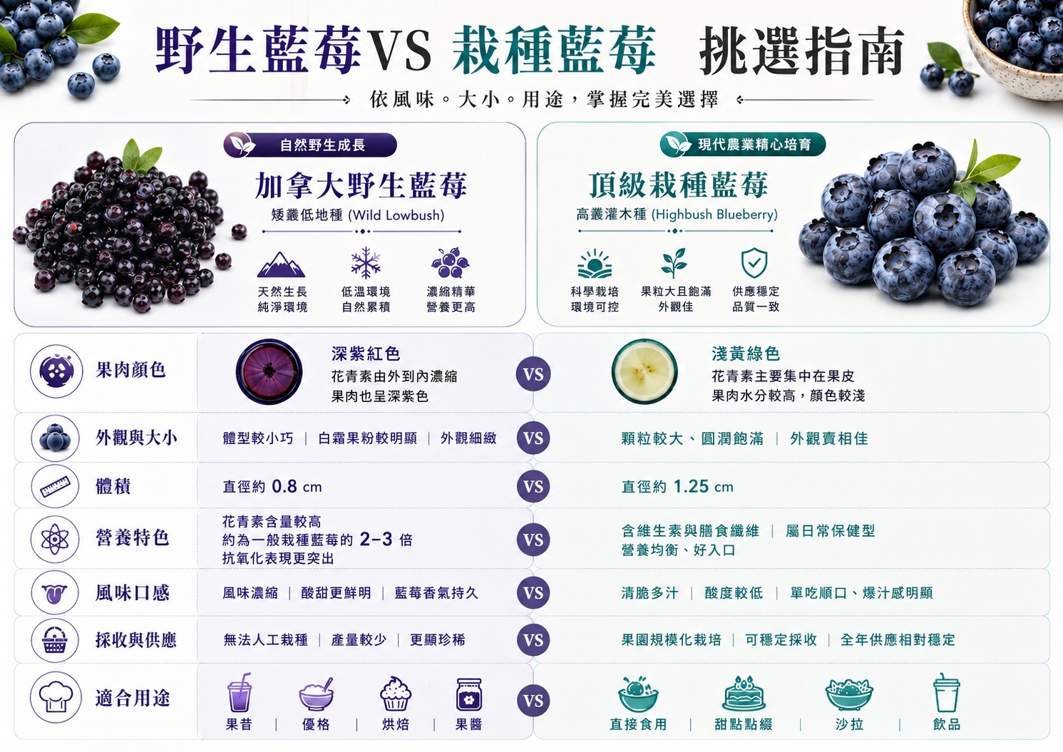 野生藍莓與栽種藍莓果粒大小與外觀差異比較圖