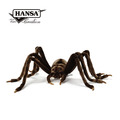 Hansa 5279-寡婦蜘蛛50公分
