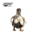 Hansa 5028-渡渡鳥30公分長_2
