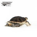 Hansa 8426-曼寧河龜28公分長_2