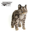 Hansa 7740-石虎55公分_2