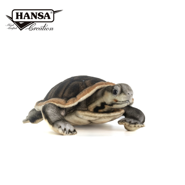 Hansa 8426-曼寧河龜28公分長
