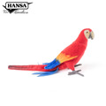 Hansa 8000-緋紅金剛鸚鵡40公分長_1