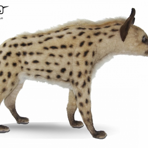 Hansa 8166-斑點鬣狗92公分