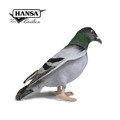 Hansa 6299-鴿子29公分_1