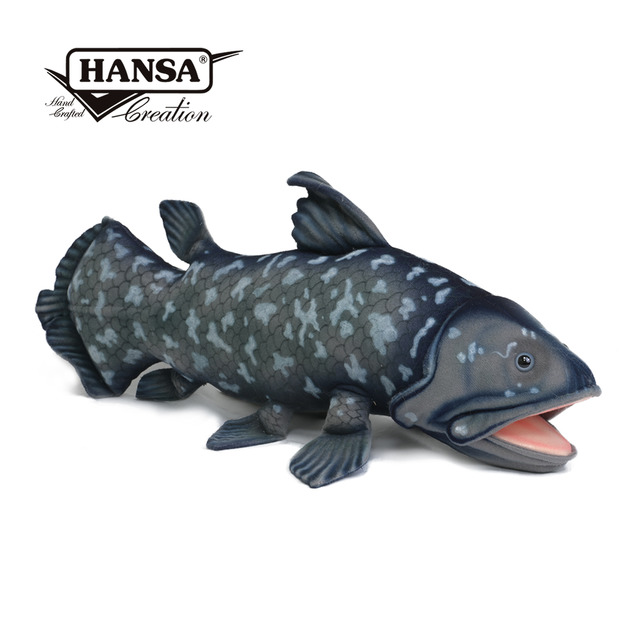 Hansa 7720-腔棘魚50公分