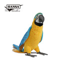 Hansa 8217-藍黃金剛鸚鵡55公分