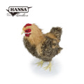 Hansa 4588-母雞35公分高