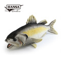Hansa 6052-海鱸魚35公分長