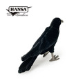 Hansa 6266-黑烏鴉31公分_2